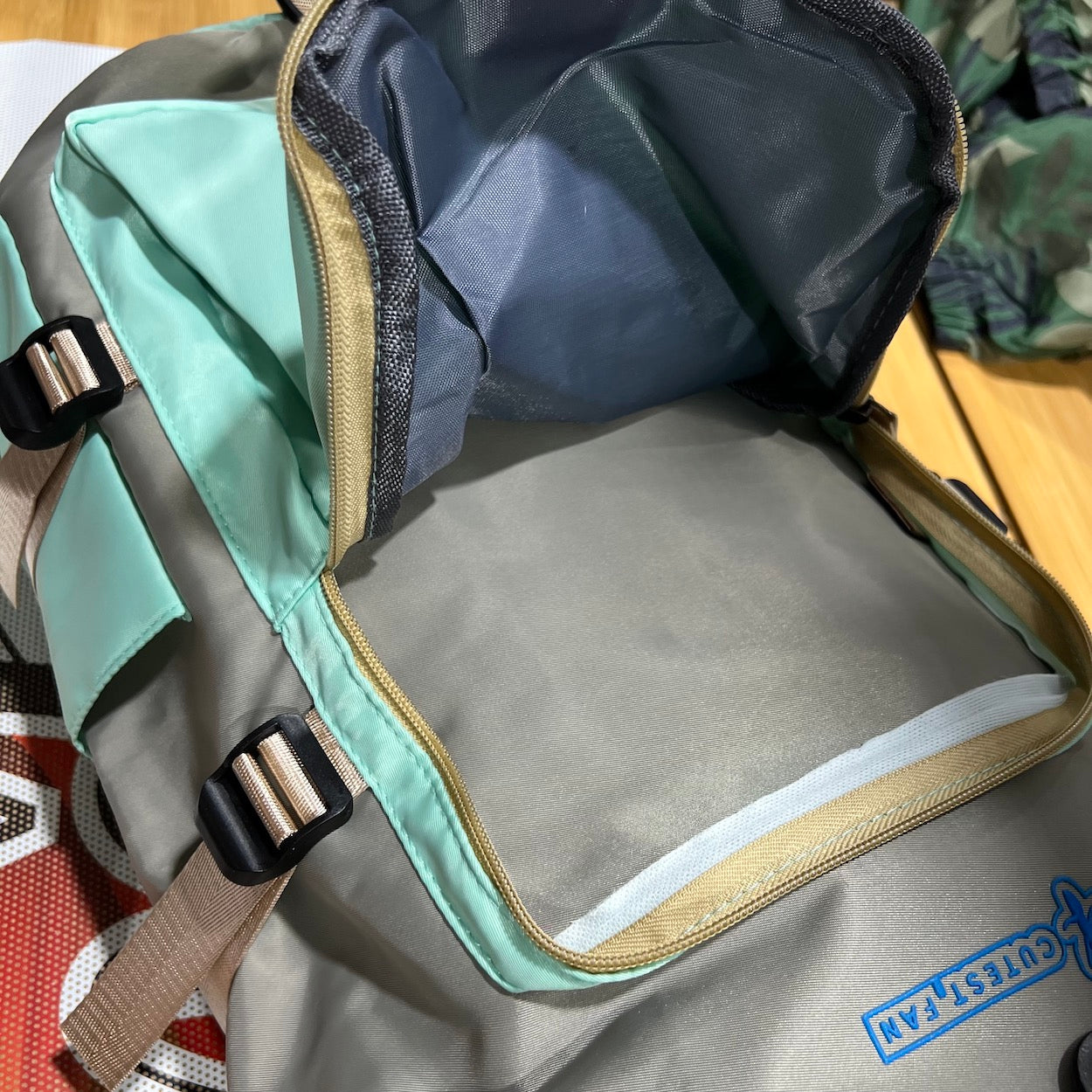 Cutest Fan Backpack With Shoe storage