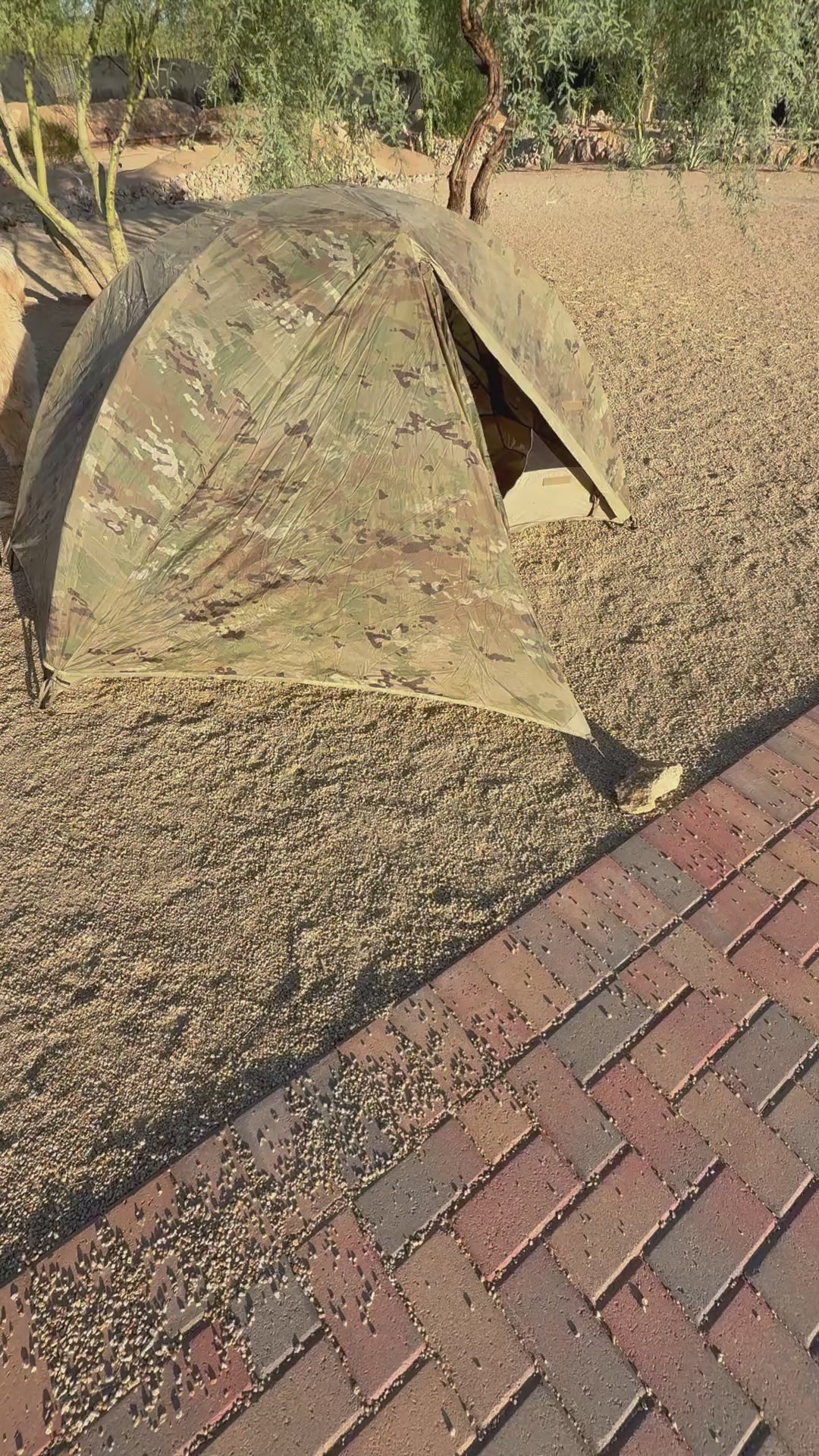 LiteFighter 1-Person Combat Tent - US Army Issue OCP Camouflage